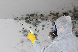 Best Attic Mold Removal  in Greenville, MS